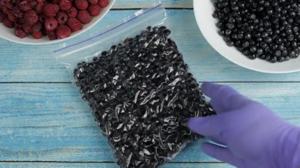 Förpackningar med blåbär i blixtlås plastpåsar för frysning. Fryst, hållbarhetsbehandlad bärmat — Stockvideo