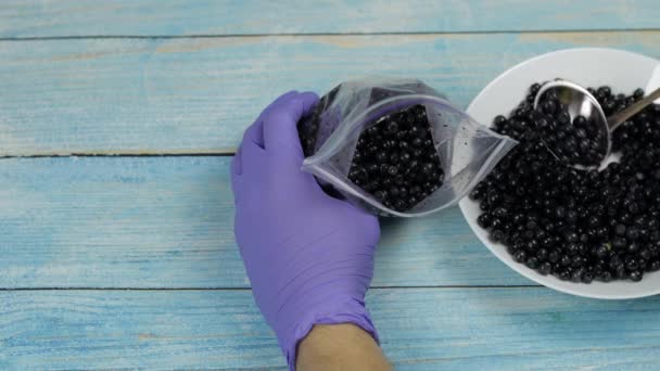 Imballaggio mirtilli in sacchetti di plastica con cerniera per il congelamento. Congelati, frutta da conservazione, frutti di bosco — Video Stock