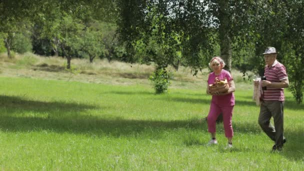 Családi hétvégi piknik. Aktív idős fehér pár a parkban. A férj és a feleség együtt járnak. — Stock videók