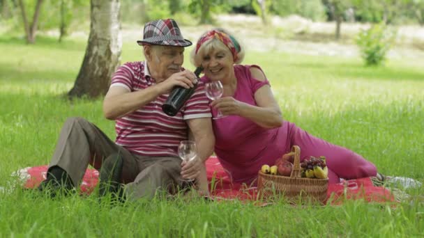 Picnic familiar de fin de semana en el parque. activo viejo caucásico pareja sentarse en manta y beber vino — Vídeo de stock