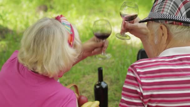 Picnic familiar de fin de semana en el parque. activo viejo caucásico pareja sentarse en manta y beber vino — Vídeos de Stock