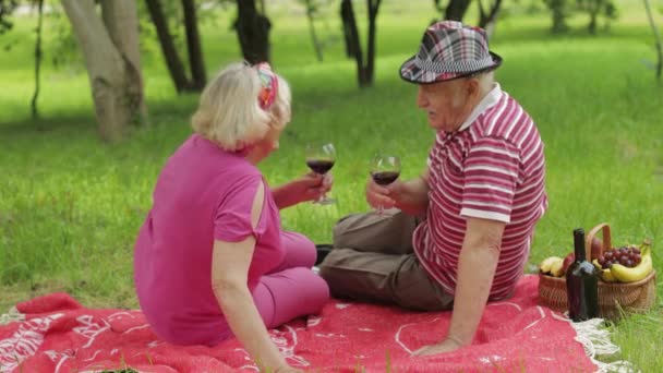 Familjelweekend picknick i parken. Äldres par sitter på filt och dricker vin. Göra en kyss. Kärlek — Stockvideo