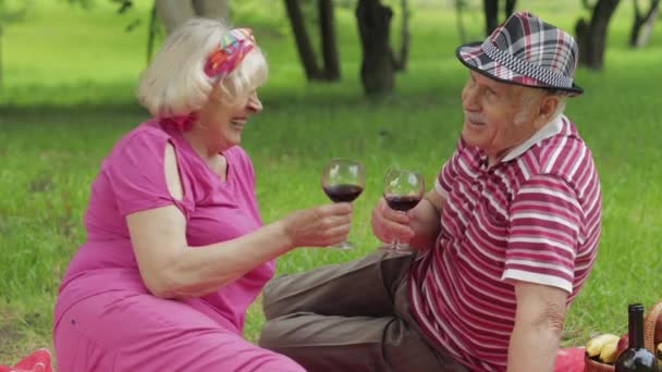 Семейный пикник в парке. Активная пожилая кавказская пара сидит на одеяле и пьет вино — стоковое видео