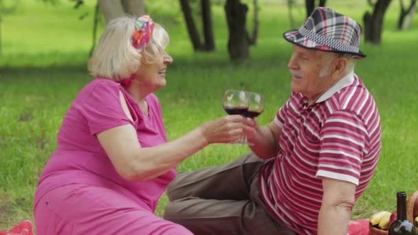 Weekend in famiglia picnic nel parco. La vecchia coppia anziana si siede sulla coperta e beve vino. Sto dando un bacio. Amore. — Video Stock