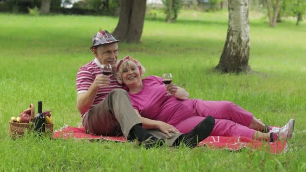 Familjelweekend picknick i parken. Aktiva äldre kaukasiska par sitta på filt och dricka vin — Stockvideo