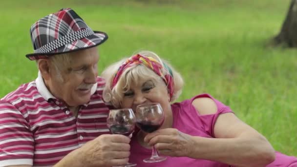 Weekend in famiglia picnic nel parco. La vecchia coppia anziana si siede sulla coperta e beve vino. Sto dando un bacio. Amore. — Video Stock