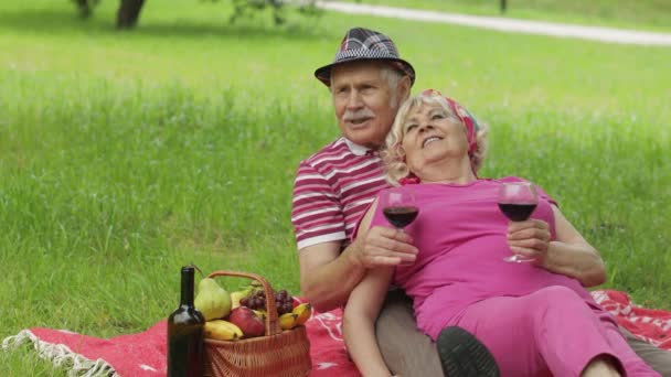 Családi hétvégi piknik a parkban. Aktív idős fehér pár ül a takarón és bort iszik — Stock videók