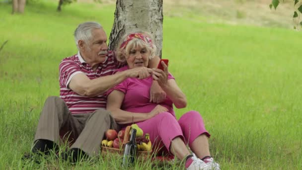 家庭周末野餐。老爷爷奶奶夫妇在公园里用智能手机上网浏览，聊天 — 图库视频影像
