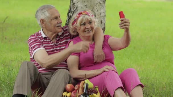 Családi hétvégi piknik. Idős nagyszülők pár a parkban okostelefonnal, és szelfit készít — Stock videók