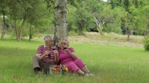 Weekend in famiglia picnic nel parco. Senior vecchia coppia sedersi vicino albero, mangiare frutta, bere vino — Video Stock