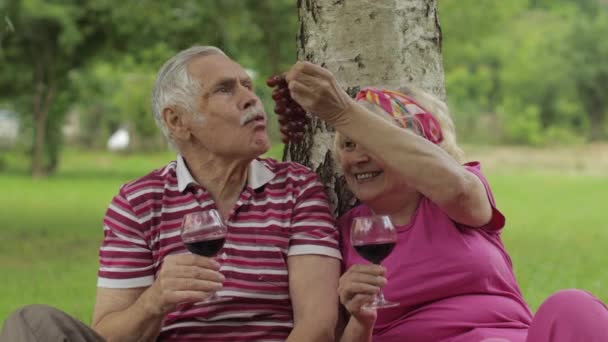 公園で家族の週末のピクニック。老夫婦は木の近くに座り、果物を食べ、ワインを飲む — ストック動画