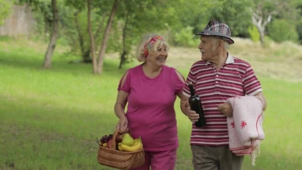 Familjesemester. Aktiva äldre kaukasiska par i parken. Man och hustru går tillsammans — Stockvideo