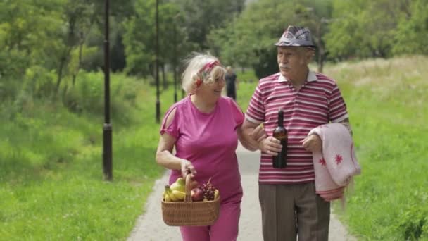 週末のピクニック。公園でアクティブな高齢者の祖父母カップル。夫と妻が一緒に歩く — ストック動画