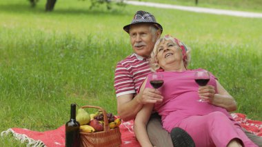 Hafta sonu parkta aile pikniği. Aktif yaşlı beyaz çift battaniyeye oturur ve şarap içerler.