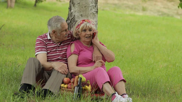 Семейный пикник. Старшие бабушки и дедушки в парке используют смартфон для звонков — стоковое фото