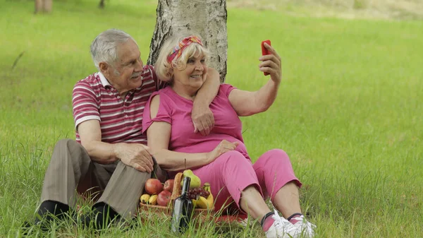 Семейный пикник. Старшие бабушка и дедушка пара в парке с помощью смартфона онлайн видео-звонок — стоковое фото