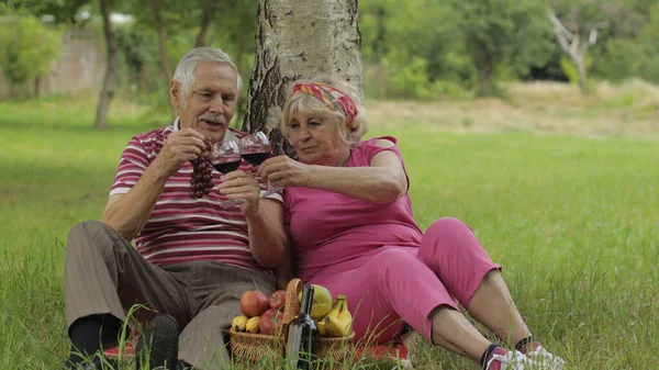 Пікнік сімейних вихідних у парку. Старша стара пара сидить біля дерева, їсть фрукти, п'є вино — стокове фото
