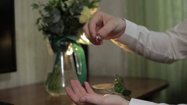 Un novio con una camisa blanca deja caer anillos de bodas en la palma de su mano. El hombre toca los anillos — Vídeos de Stock