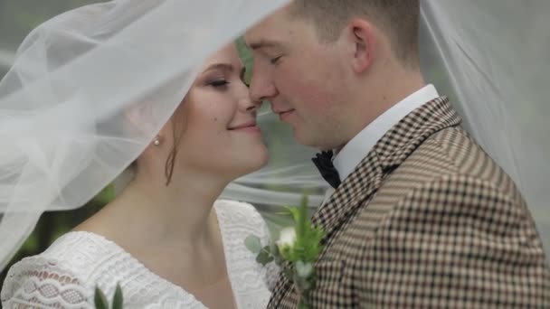 Friss házasok. Fehér vőlegény menyasszonnyal maradjon fátyol alatt a parkban. Esküvői pár. Szerelmes férfi és nő — Stock videók