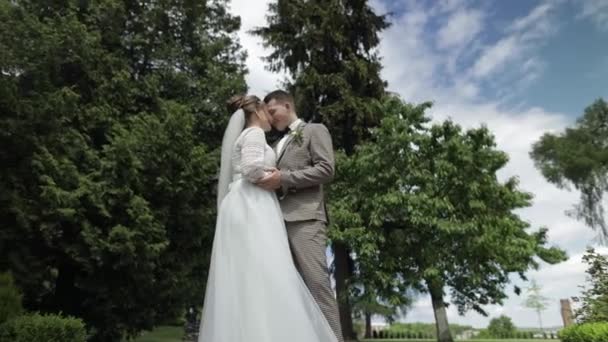Novomanželé. Bělošský ženich s nevěstou procházející se v parku. Svatební pár. Muž a žena v lásce — Stock video
