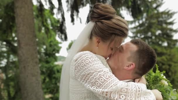 Newlyweds. Caucasian groom with bride kissing in park. Wedding couple. Man and woman in love — Stock Video
