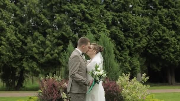 Newlyweds. Caucasian groom with bride kissing in park. Wedding couple. Man and woman in love — Stock Video