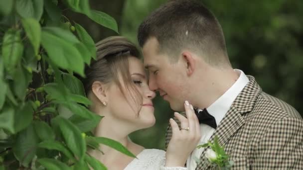 Recién casados. novio caucásico con novia caminando, abrazando, abrazos en el parque. Pareja de boda — Vídeos de Stock