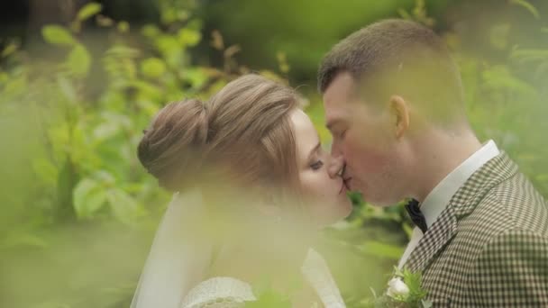 Frisch verheiratet. Kaukasischer Bräutigam mit Braut beim Küssen im Park. Hochzeitspaar. Mann und Frau verliebt — Stockvideo