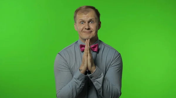 Handsome man hands in prayer and begging, asking permission heartily. Apologize, forgive. Chroma key — Stock Photo, Image