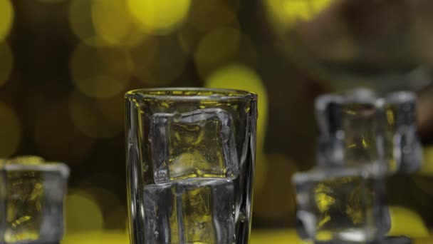 Bartendern häller fryst vodka från flaskan i glas. Is kuber mot glänsande guld parti bakgrund — Stockvideo