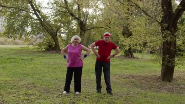 Casal ativo sênior fazendo exercícios físicos esportivos ao ar livre no parque da cidade. Treino de alongamento matinal — Vídeo de Stock