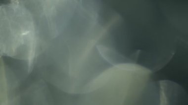 Çok renkli ışık siyah arkaplanda 4K görüntü sızdırıyor. Görüntüler, dönüşümler. Bokeh etkisi