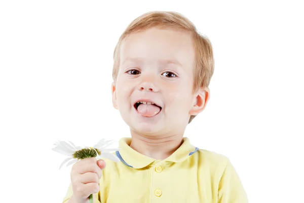 Kızıl saçlı boy gülümseyerek ve kokulu papatya beyaz izole etmek