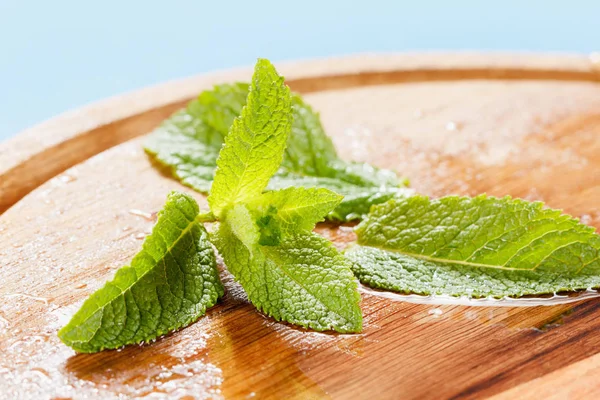 Folhas verdes frescas de hortelã e pedaços de gelo — Fotografia de Stock