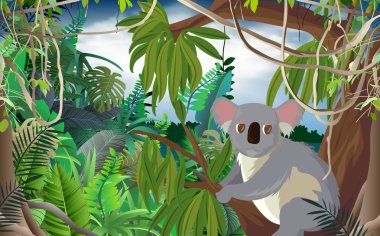 Koala okaliptüs orman üzerinde