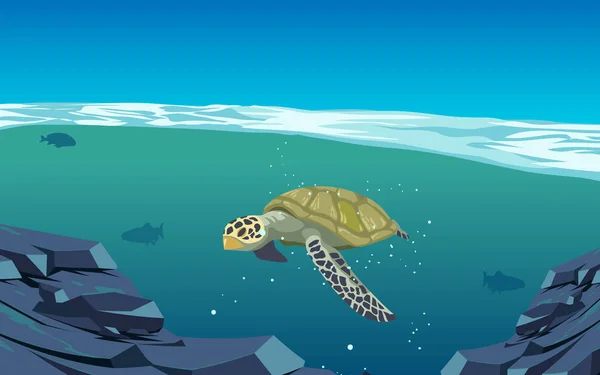 Sea turtle swimming in the sea — Stock Vector