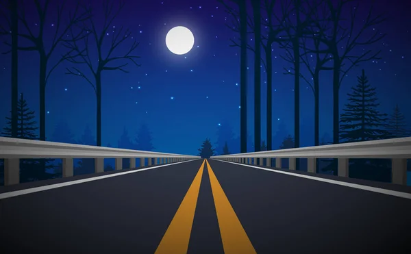 Cesta v lese v noci — Stockový vektor