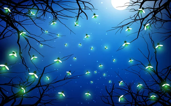 100,000 Fireflies Vector Images