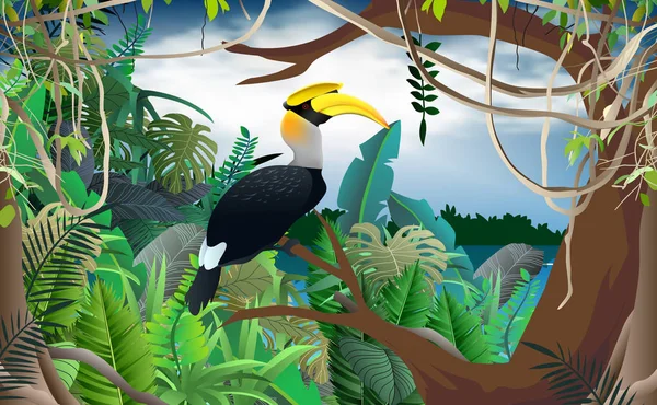 Pássaro hornbill na árvore na selva —  Vetores de Stock