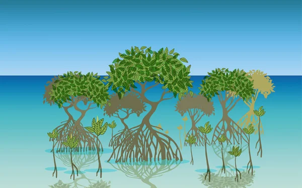 Landskap av mangroveskog på stranden i dagtid — Stock vektor