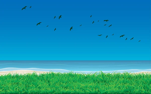 Paisaje Césped Patio Trasero Playa — Vector de stock