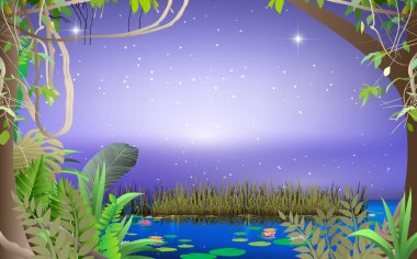 gece bataklık manzara