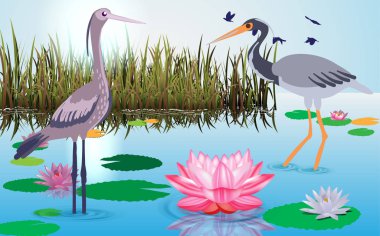 herons at the swamp clipart