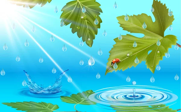 Дощ з краплями води на листі — стоковий вектор