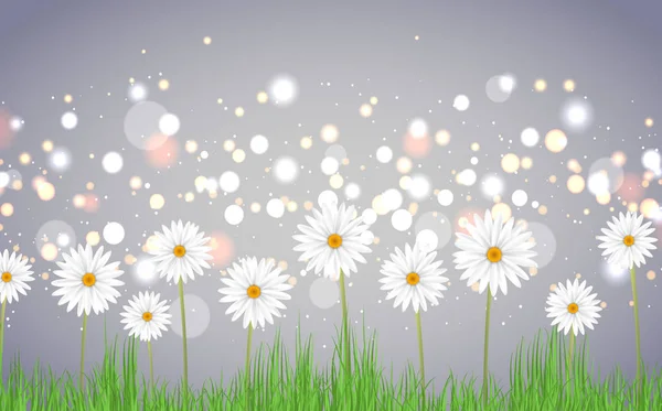 Fleurs de marguerite blanche avec fond abstrait clair — Image vectorielle