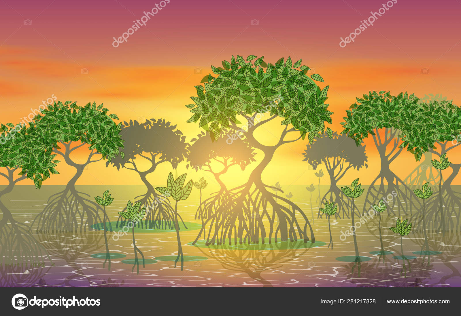 Manguezal Vetores De Stock Imagens Vetoriais Desenhos Graficos Depositphotos