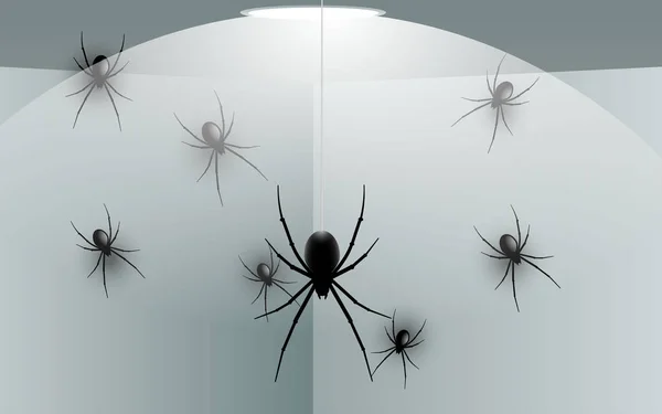 Schwarze Spinne Der Wand Haus — Stockvektor