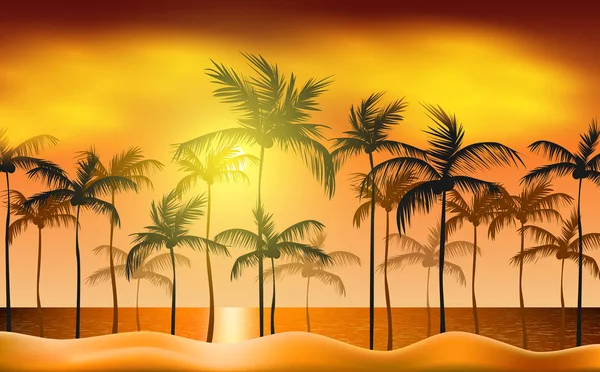Landscape of coconut tree on the beach in sunset — Stock Vector