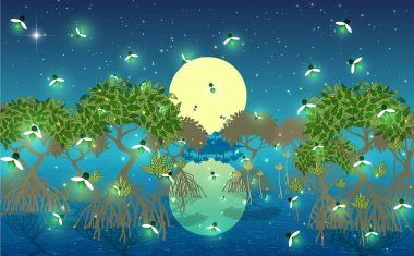  gece mangrov ormanında firefly