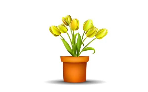 Tulipa Amarela Vaso Mesa Madeira — Vetor de Stock